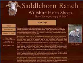 Saddlehorn Ranch - Wiltshire Horn Sheep - Harper, TX