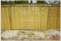 Bamboo Fence